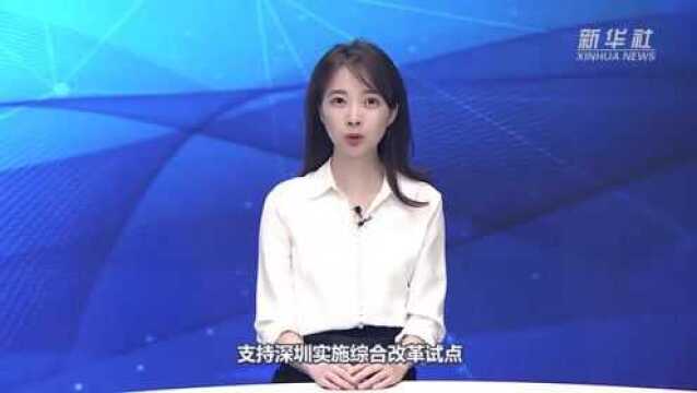 新华视评|落实改革“任务书” 书写特区新传奇