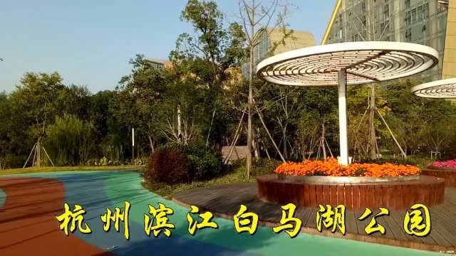 湖光山色的杭州白马湖,杭州动漫炫酷的核心区域所在风景无限