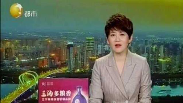 沈阳“双十一”快递量猛增,最多一天600万件