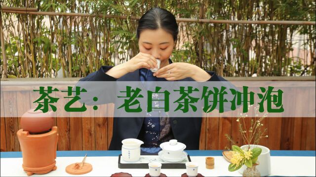 茶艺 | 泡好一杯茶,老白茶饼的冲泡方法技巧  关洁婷老师 实用教程