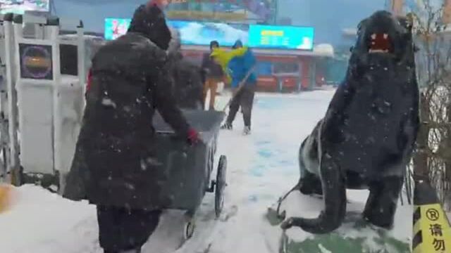 哈尔滨极地馆:以雪为令保运营