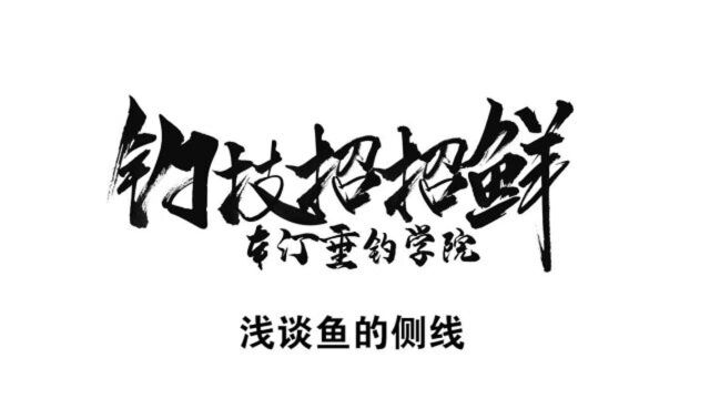 《本汀钓技招招鲜第33集》浅谈鱼的侧线