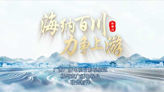 新时代梧州城市形象片《海纳百川 力争上游》