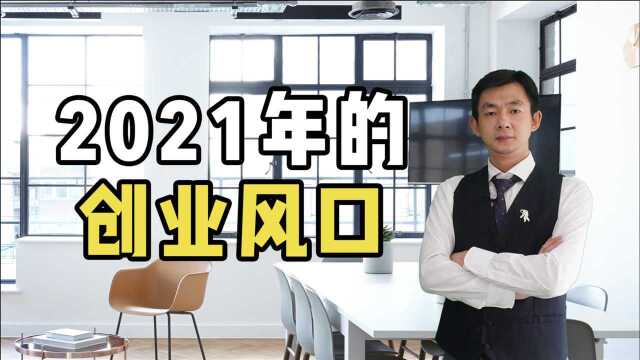 2021年的创业风口