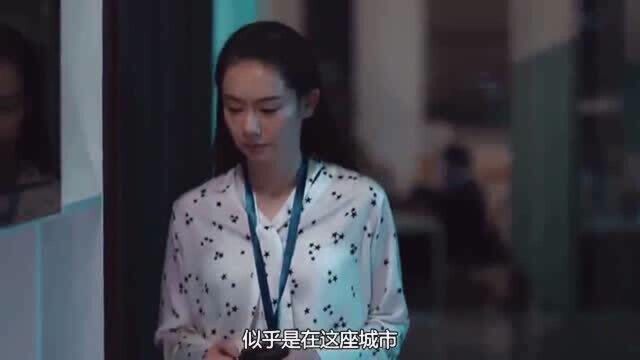 职场菜鸟生存法则如何选择站队,你会怎么选