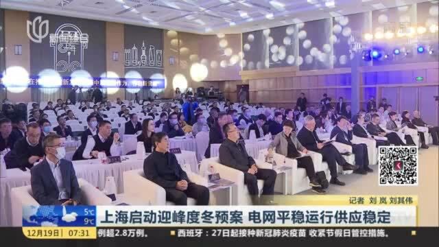 上海启动迎峰度冬预案 电网平稳运行供应稳定