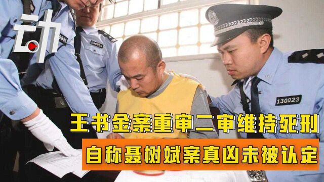 落网15年王书金案梳理:重审二审维持死刑