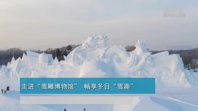 走进“雪雕博物馆” 畅享冬日“雪趣”