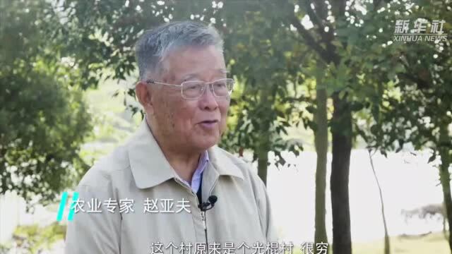 句容戴庄:“光棍村”来了致富专家