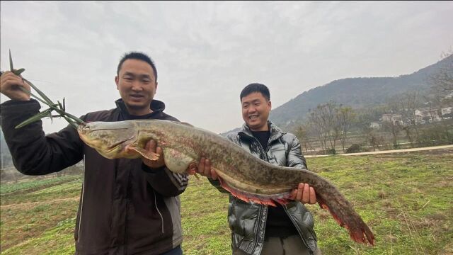 300买条大鲶鱼,大铁锅炖入味,请村里邻居一起吃,人多就是热闹