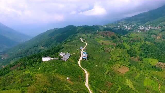 这里是世界茶树重要起源之地!好熟茶,永德造!它的魅力点在哪