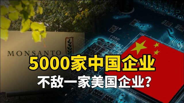 卡脖子卡到饭碗里了!5000多家中国企业,不敌一个美国公司?