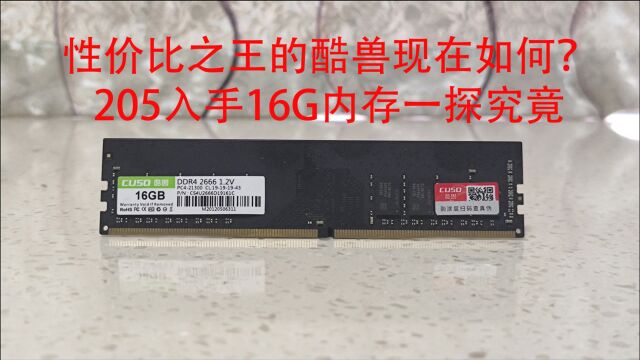 205入手16G内存!性价比之王的酷兽现在如何?