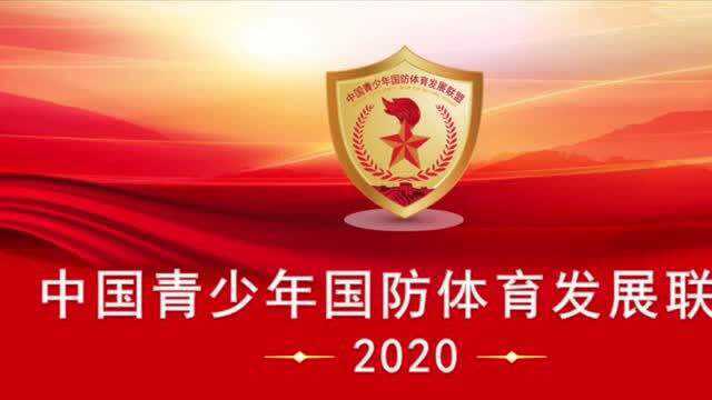 再见2020高清版