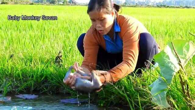 小猴索凡:麻麻在路边池塘给索凡洗澡