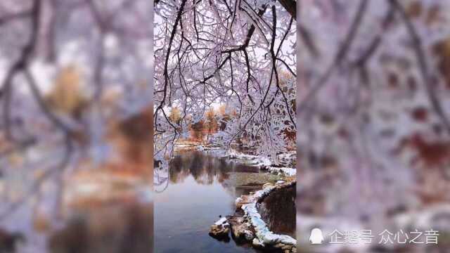 飞雪飘落古枝藤,只因枯枝无芳颖.暗香犹似梅花洒,独傲琼枝迎春红.