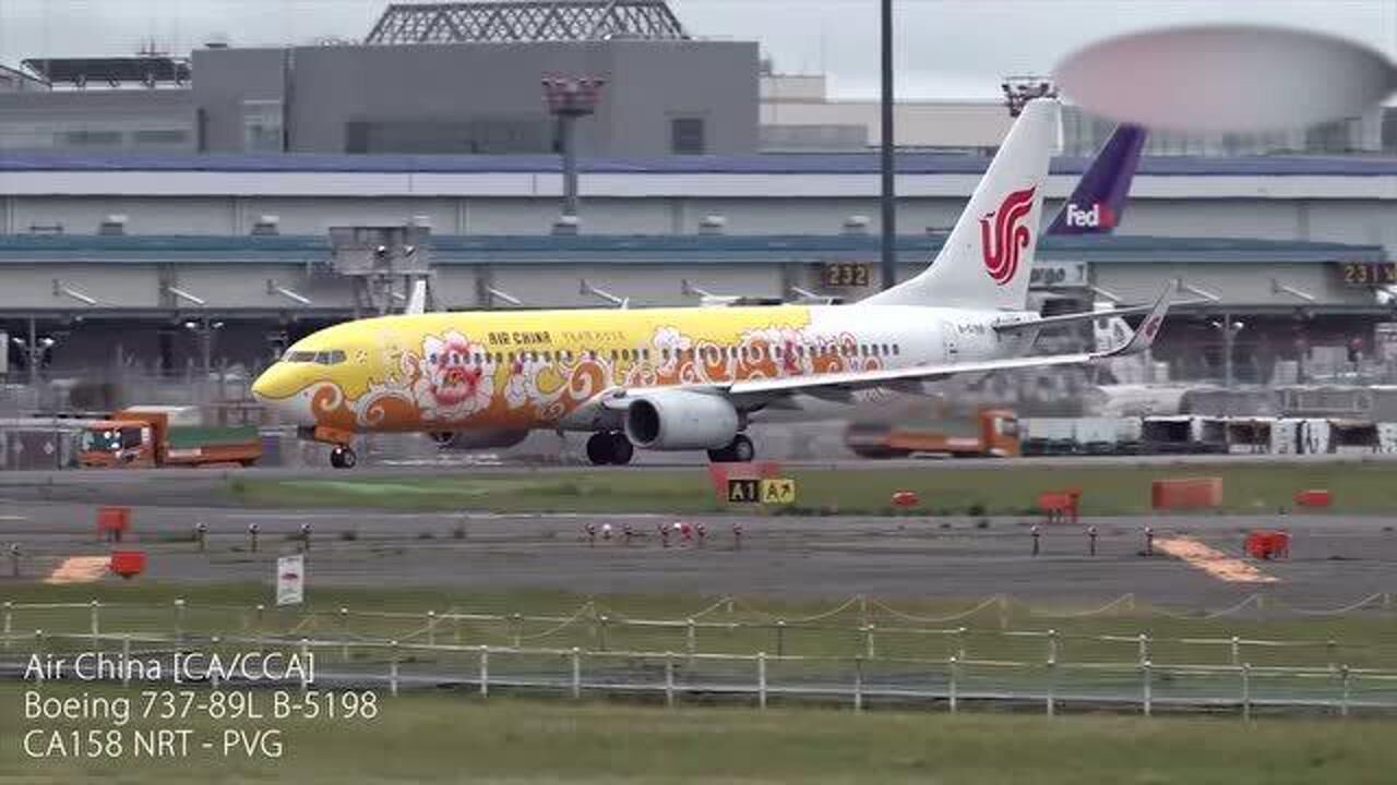 国航波音737800番茄炒蛋彩绘机从日本东京机场起飞