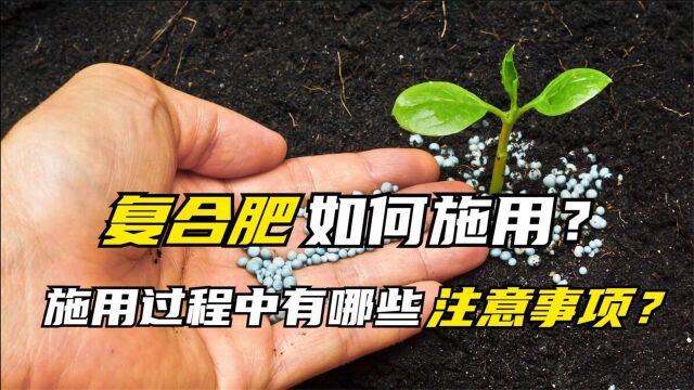 复合肥如何施用才能更好发挥肥效?在施用过程中有哪些注意事项?