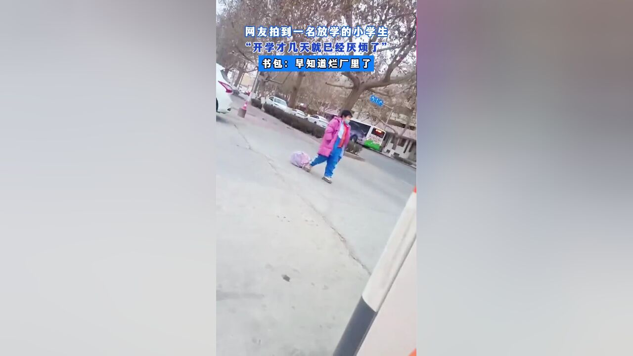 网友拍到一名放学的小学生,“开学才几天就已经厌烦了”,书包:早知道烂厂里了