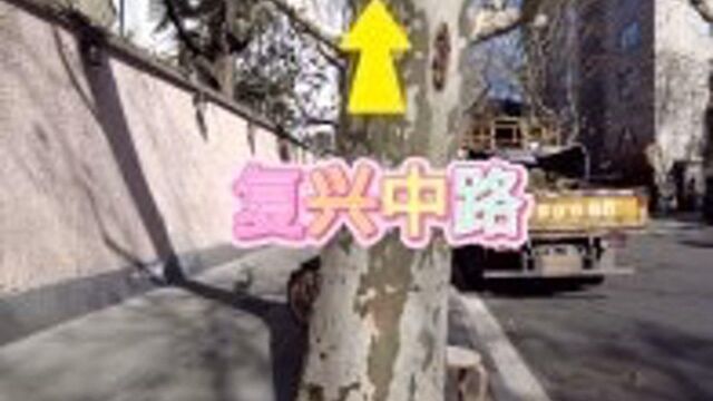 汾阳路02(太原路 复兴西路)白崇禧故居