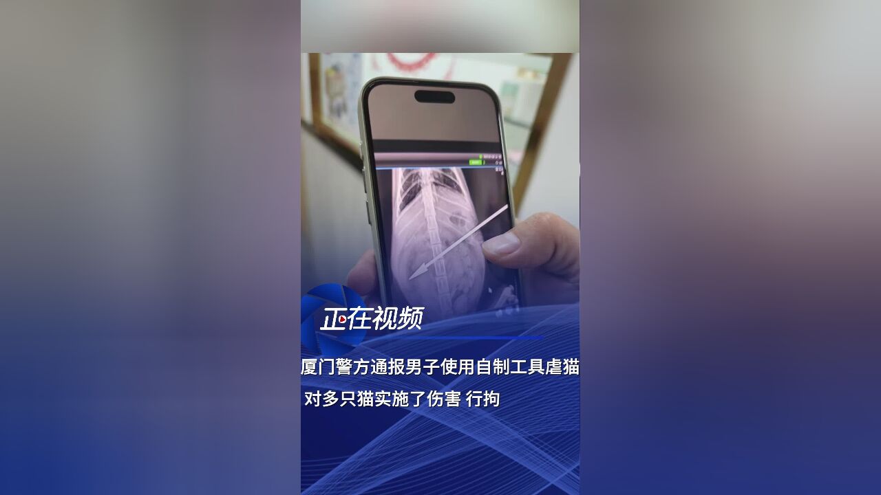 厦门警方通报男子使用自制工具虐猫,对多只猫实施了伤害,行拘