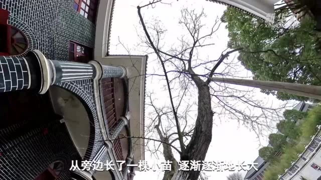 奋斗百年路 启航新征程 |一座楼ⷤ𘀦㵦 ‘ⷤ𘀤𘪥…‰辉时刻——遵义会议会址的红色故事