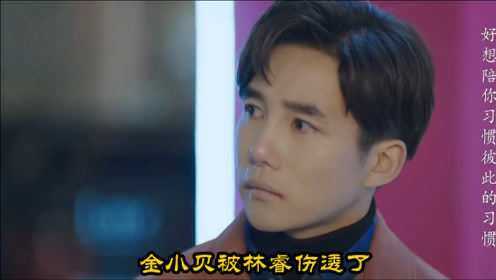 Thumbplayer Poster Plugin Image