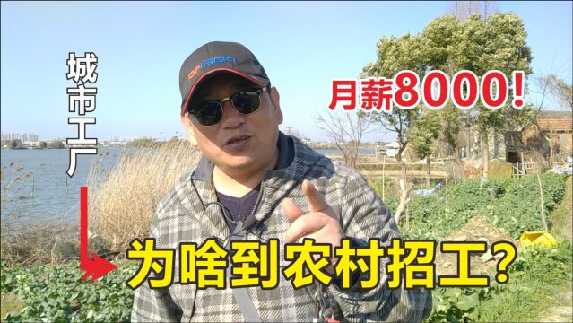 农民成香饽饽了?工厂舍近求远,到农村贴小广告招工图啥?