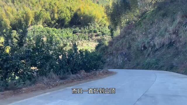 《海西福建》108、青山绿水就是金山银山