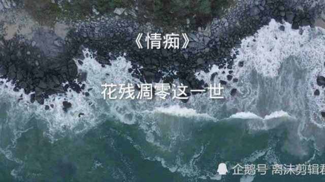 羁鸟恋旧林,池鱼思故渊