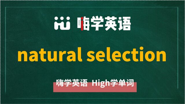 英语单词教学 短语natural selection的翻译、读音、相关词、使用方法讲解