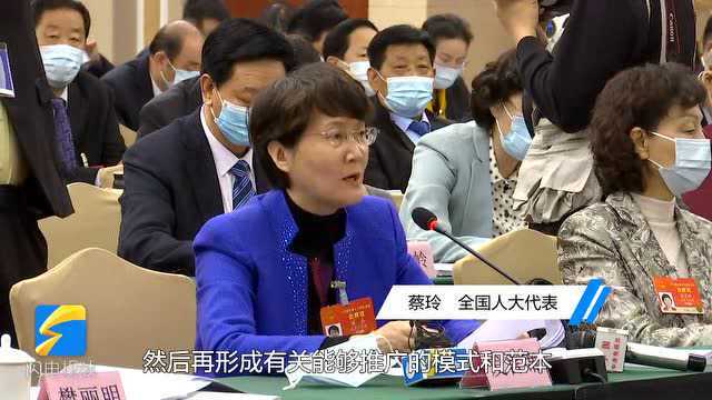 全国人大代表蔡玲:山东要抢抓中日韩自贸区发展机遇 争当领头雁 排头兵