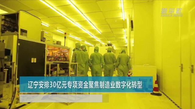 辽宁安排30亿元专项资金聚焦制造业数字化转型