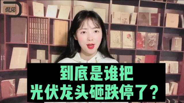 核心资产一天蒸发8000亿!到底是谁把光伏龙头砸跌停了?