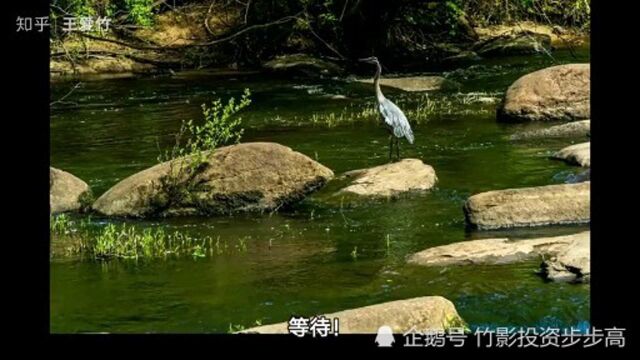 它是“学神”级公司,“学霸”表示学不来,“学渣”表示懵圈了