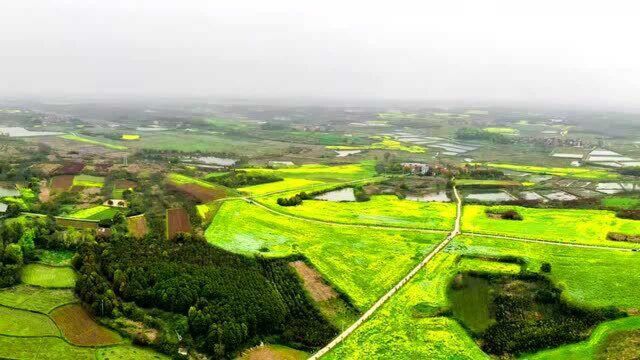 “书”写花中景,邀你“画”中游