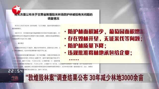 “敦煌毁林案”调查结果公布 30年减少林地3000余亩