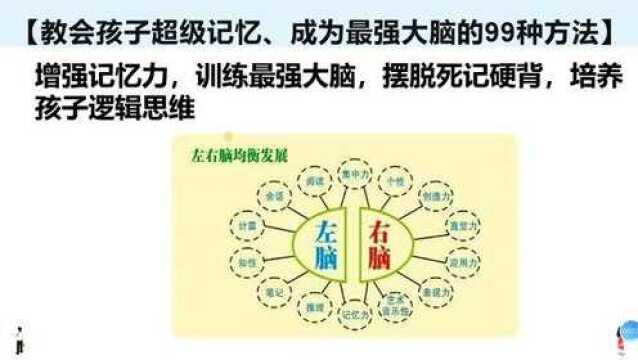 11、如何培养孩子能成为超级记忆大师?右脑记忆思维辗轧同龄孩子很远