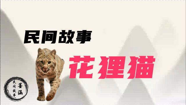 民间故事:农夫救下受伤花狸猫,一年后农夫有难,花狸猫前来报恩!