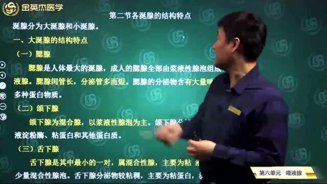 口腔组织病理学:涎腺的分类,大涎腺、小涎腺的结构特点,大涎腺和小涎腺的区别