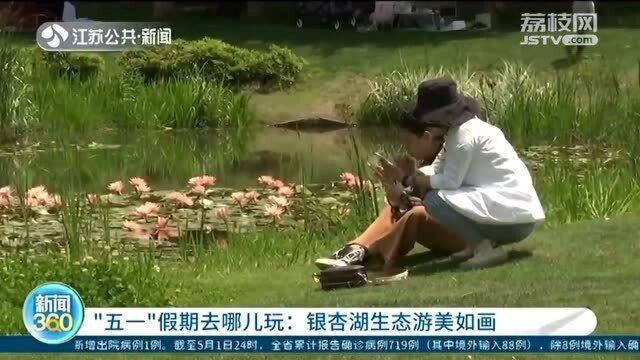 浪漫美景!“五一”假期去哪儿玩:银杏湖生态游美如画