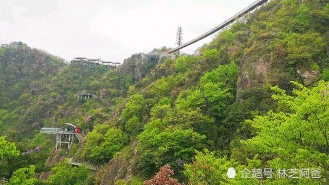 原来杭州安吉县云上草原是这样的!跟我一起去看去体验吧!