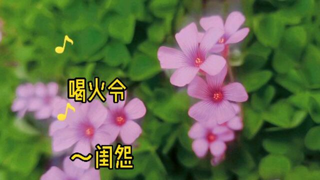 原创喝火令深春之闺怨