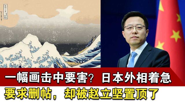 一幅画击中要害?日本外相着急要求删帖,却被赵立坚置顶了