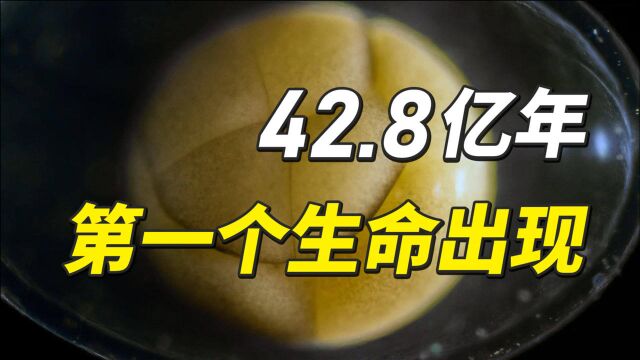 42.8亿年!第一个生命出现,统治地球长达30亿年!