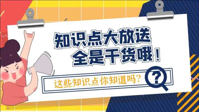 想要开拼多多店铺,这些经常用到的基础知识,你必须得知道,非常重要