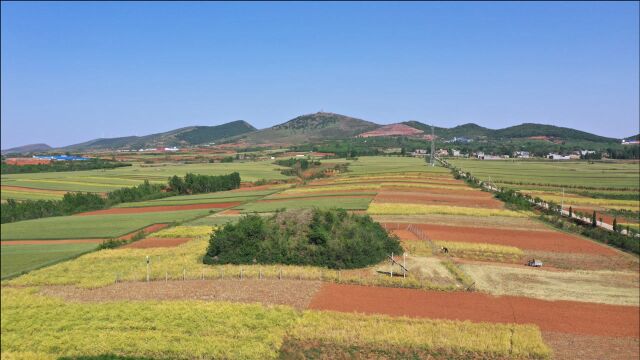 洛阳发现2000年的神秘大墓,墓主人居然是中国最早的国企领导人