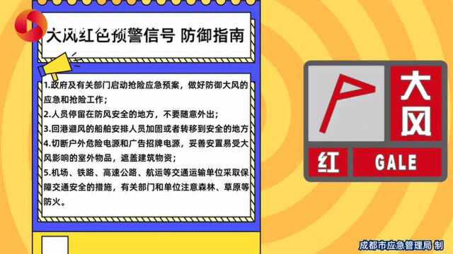 你知道大风蓝色、黄色、橙色、红色预警有哪些区别吗?戳这个视频涨知识