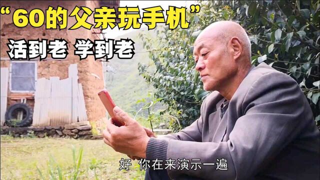 湖北 十堰 郧西 三农 农村 生活 感情 蜜蜂 收蜂 诱蜂一根小棍就能判断来蜂?顺便教给父亲手机拍摄,下次查蜂就快多了