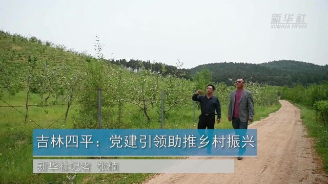 吉林四平:党建引领助推乡村振兴